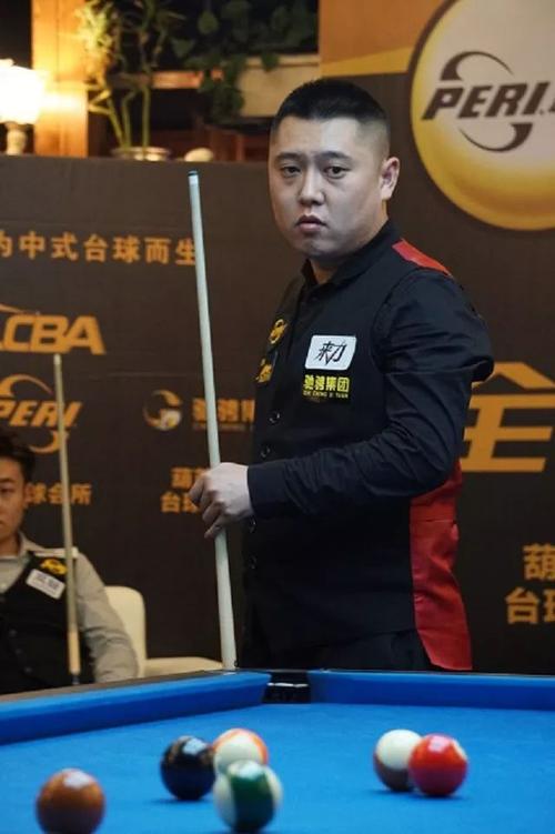 风格鲜明的 风格鲜明的